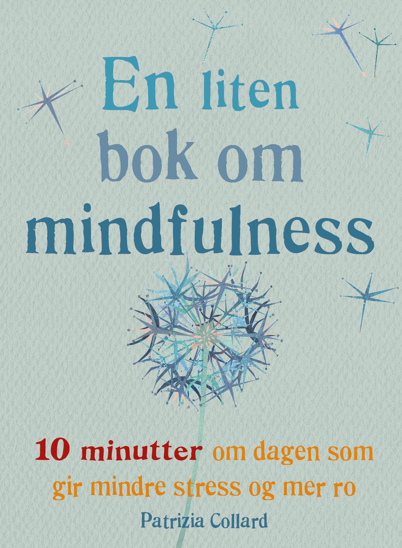 En liten bok om mindfulness